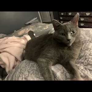 Meet your Posher, Kimberley